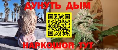 гидропоника Пенза